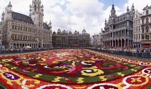 800px-Brussels_floral_carpet_B